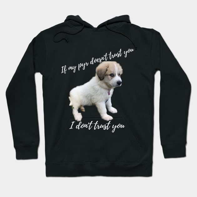 If my pyr doesn't trust you, I don't trust you Hoodie by rford191